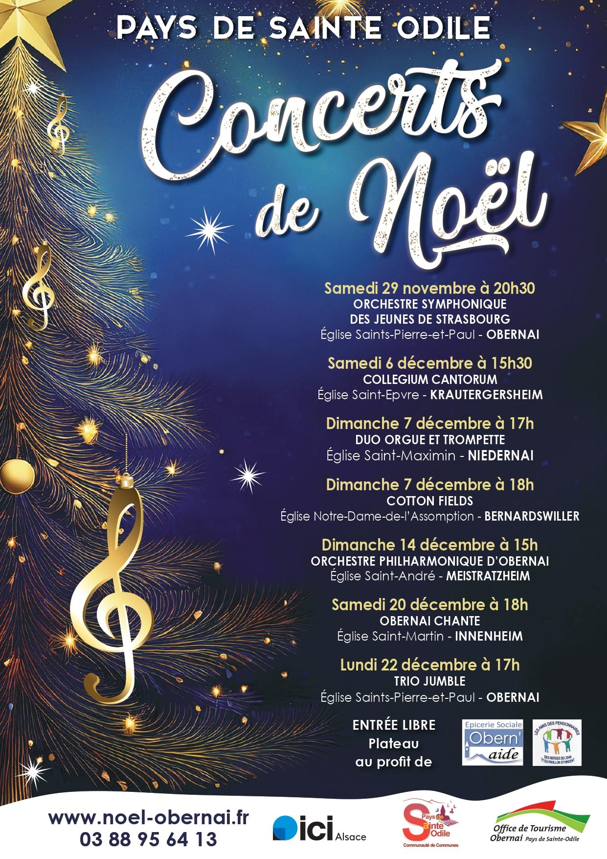 Lire la suite à propos de l’article Concerts de Noël