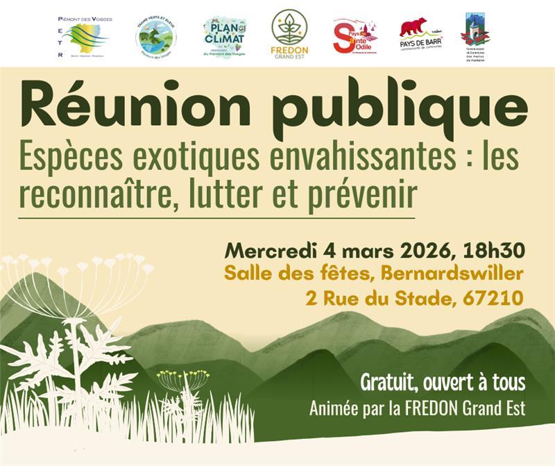 You are currently viewing Espèces exotiques envahissantes : comment les reconnaître et agir près de chez vous ?